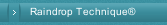 Raindrop Technique®